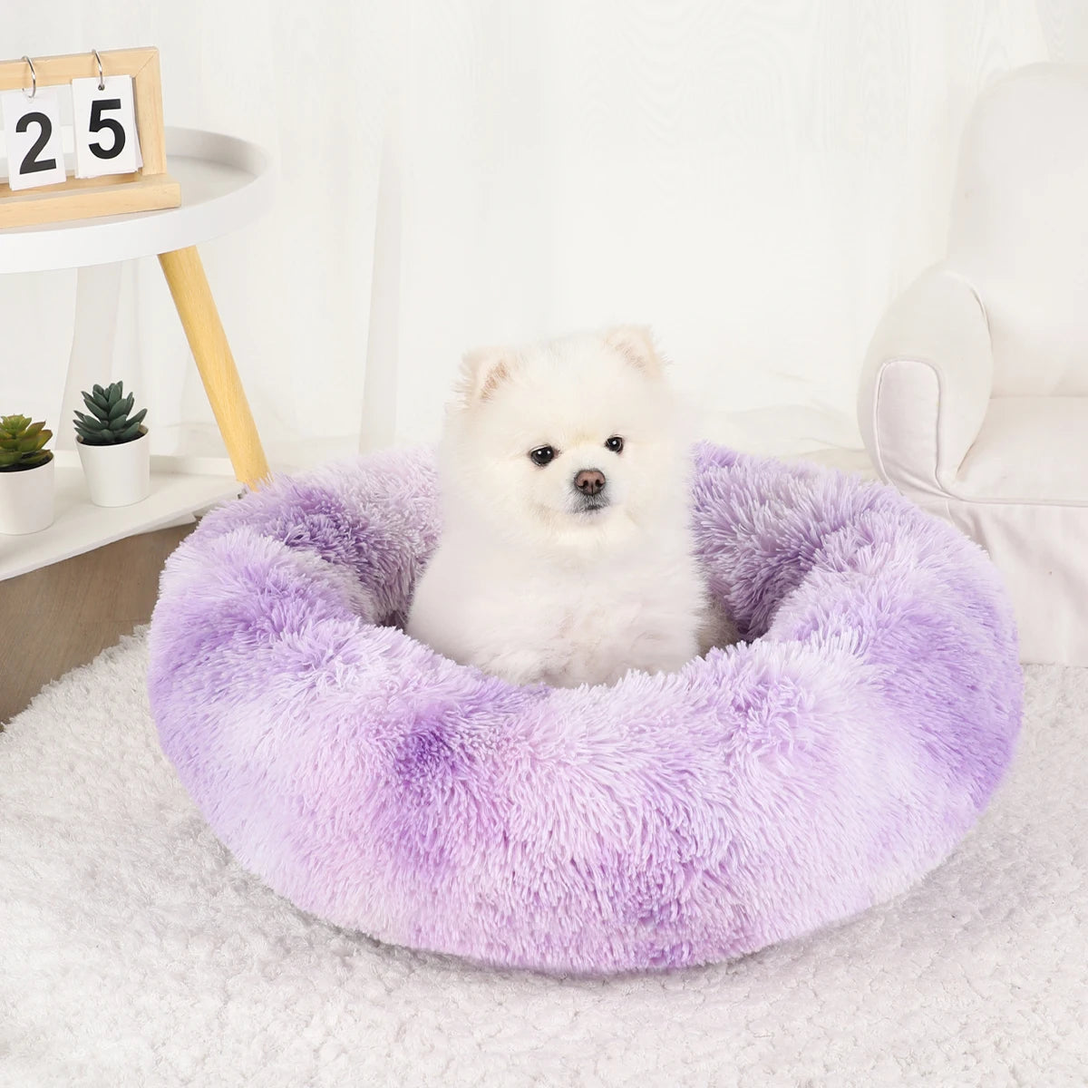 Bed Large Beds for Dogs Washable