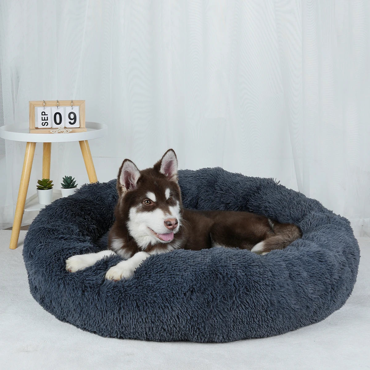 Bed Large Beds for Dogs Washable