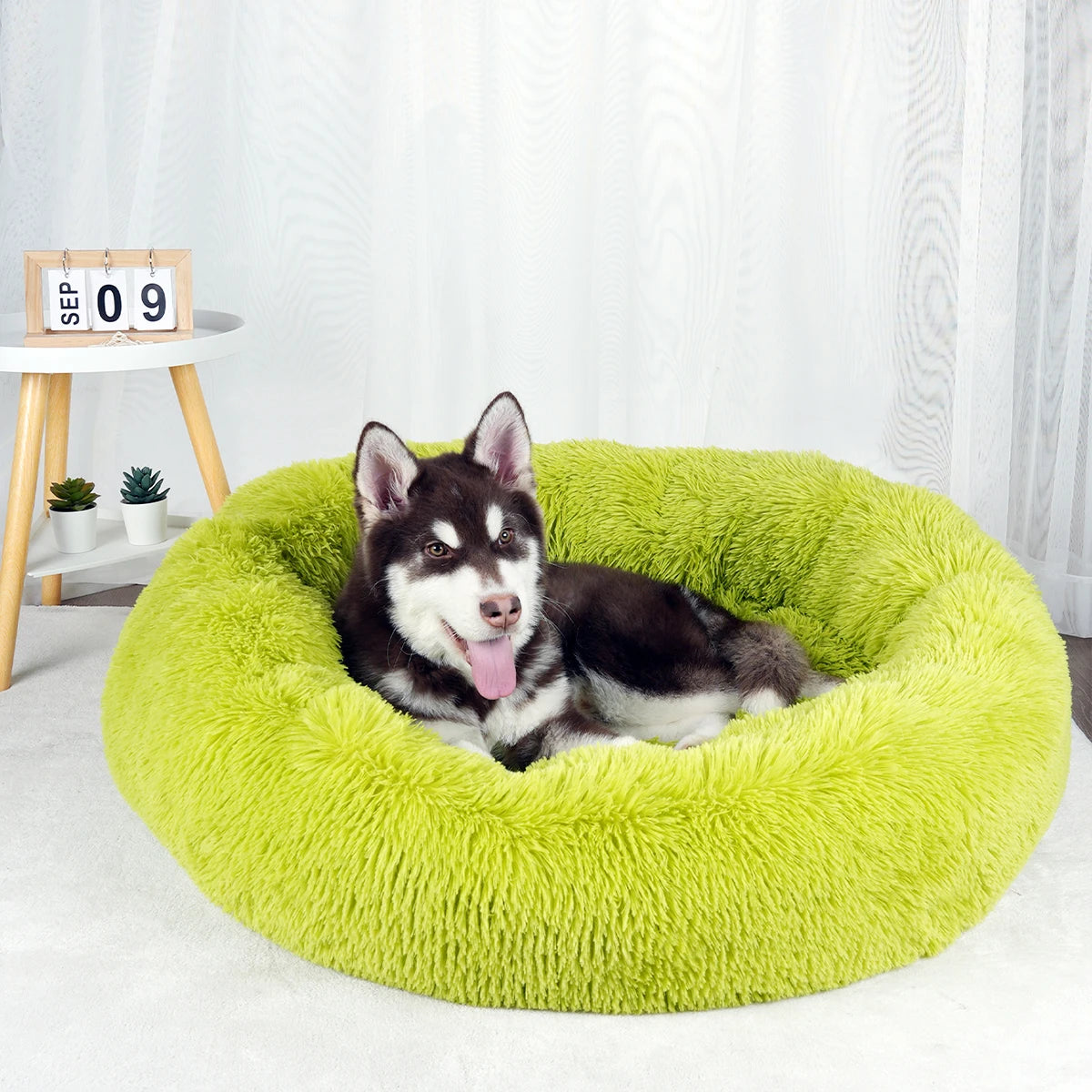 Bed Large Beds for Dogs Washable