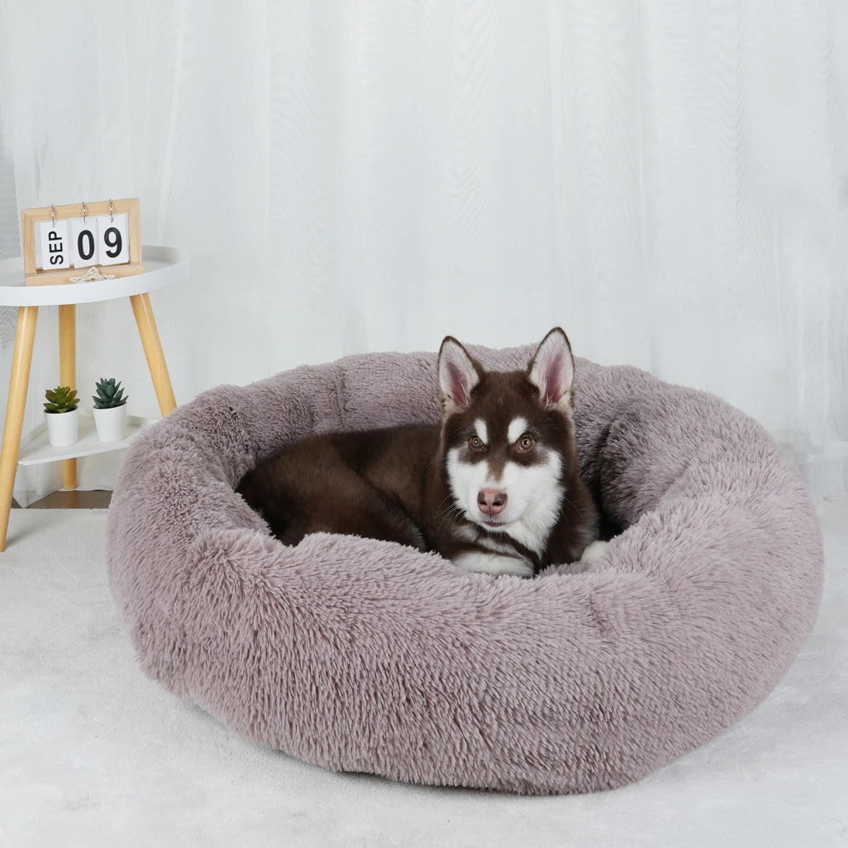 Bed Large Beds for Dogs Washable