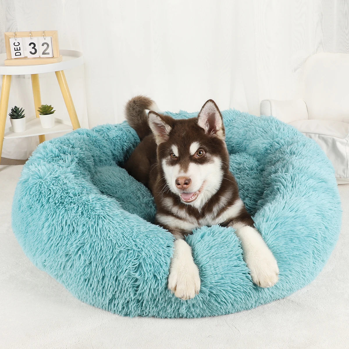 Bed Large Beds for Dogs Washable
