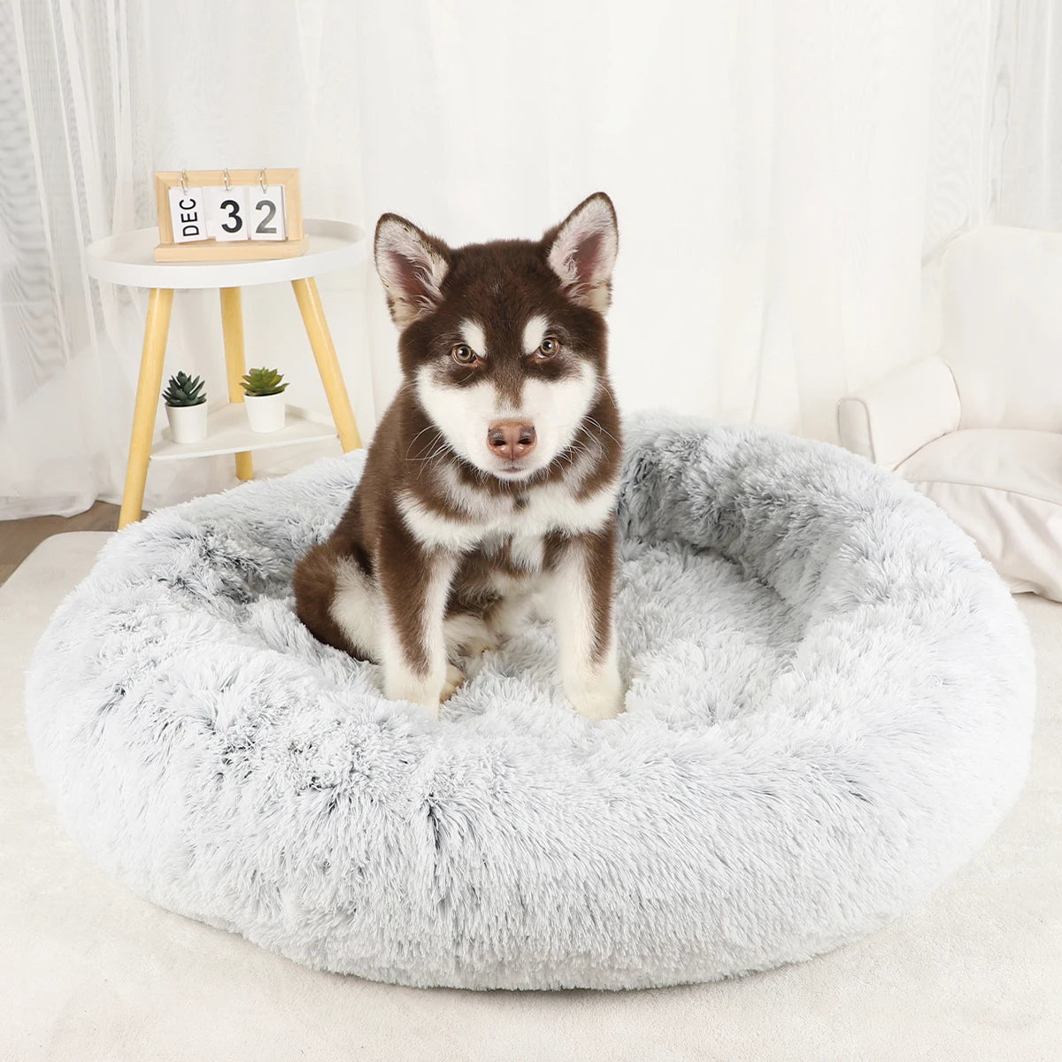 Bed Large Beds for Dogs Washable