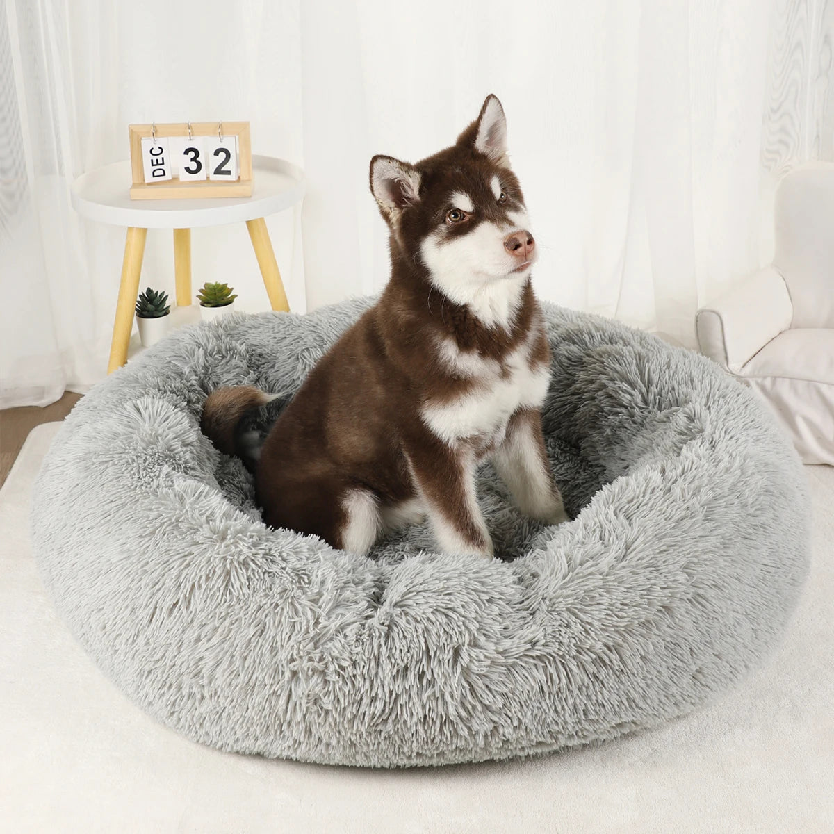 Bed Large Beds for Dogs Washable