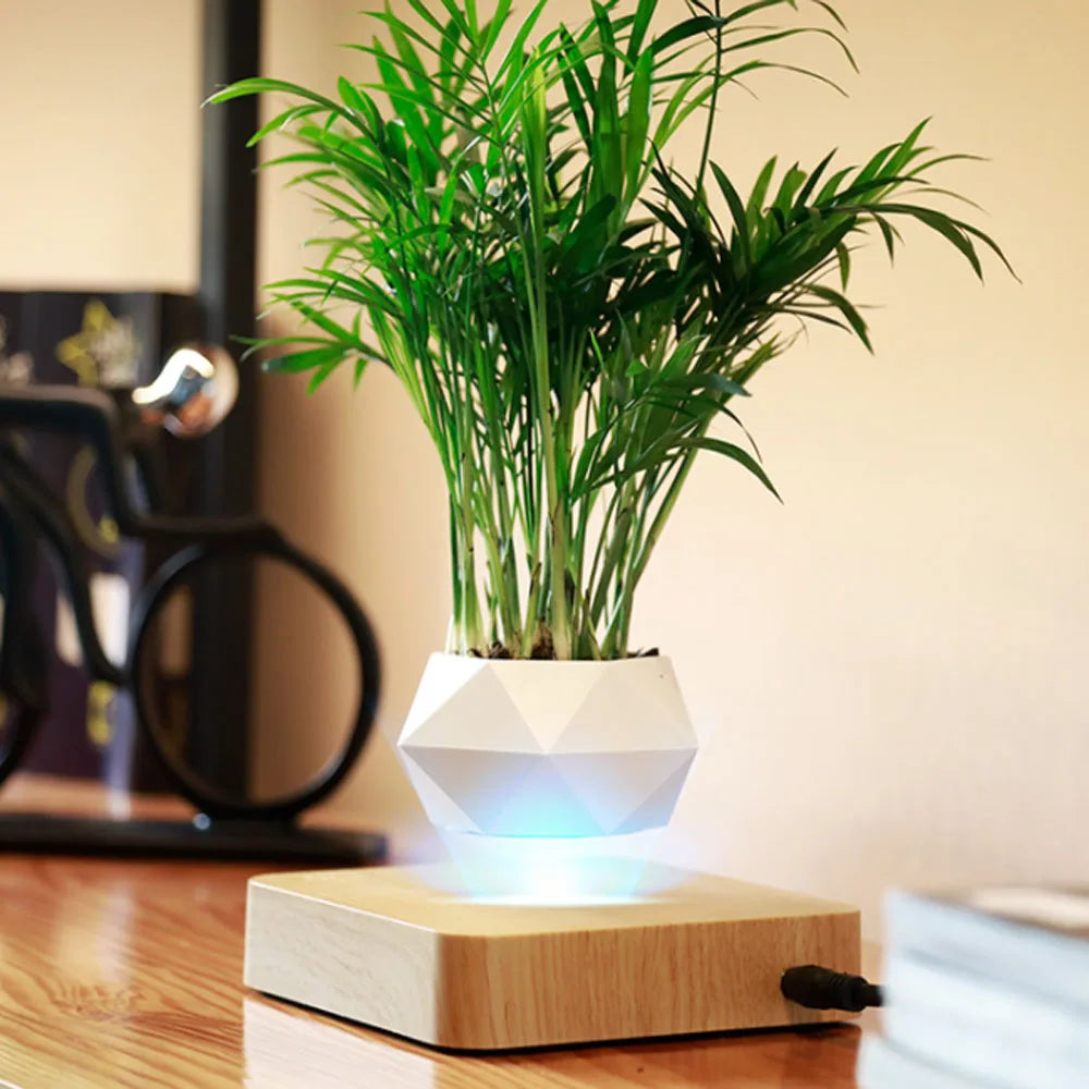 levitating flower pot