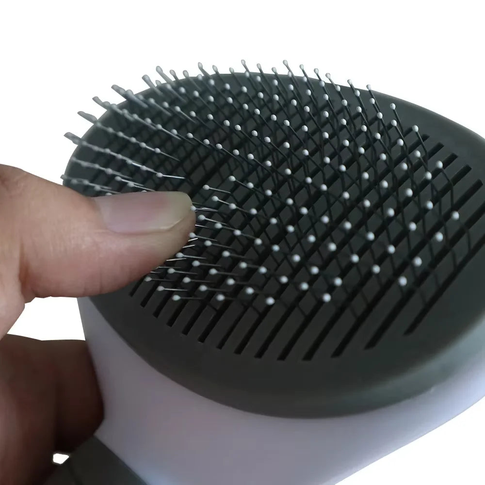 Pet Brush