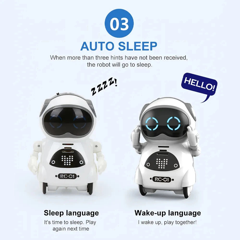 Pocket Emo Robot