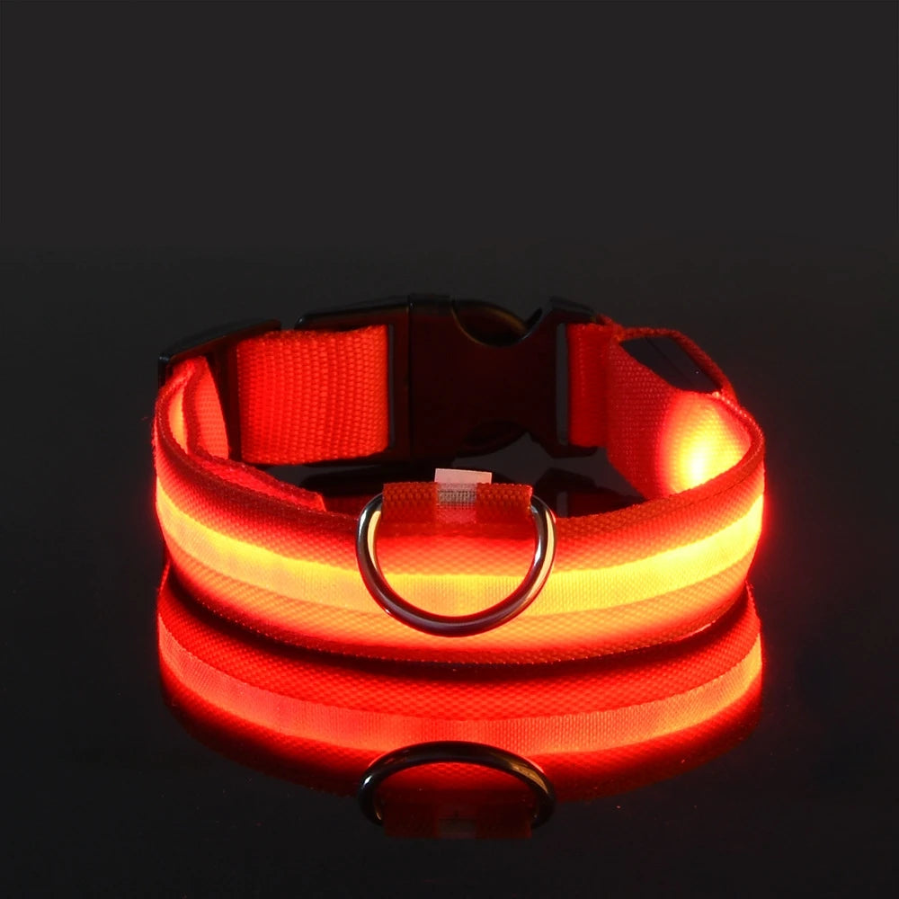 LED Night Safety Luminous Nylon Dog Collar