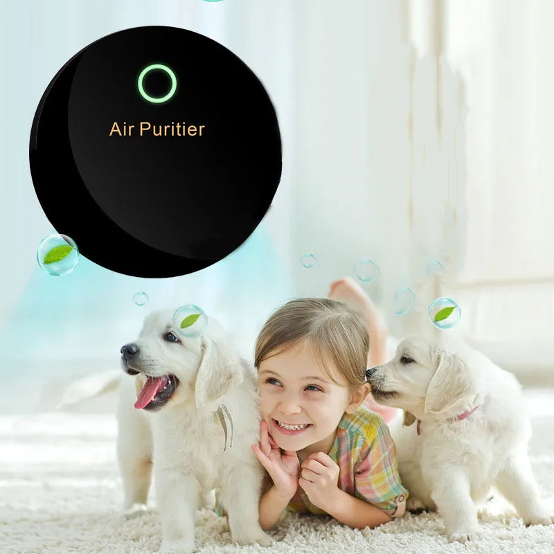 Portable Air Purifier