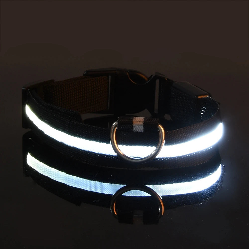 LED Night Safety Luminous Nylon Dog Collar