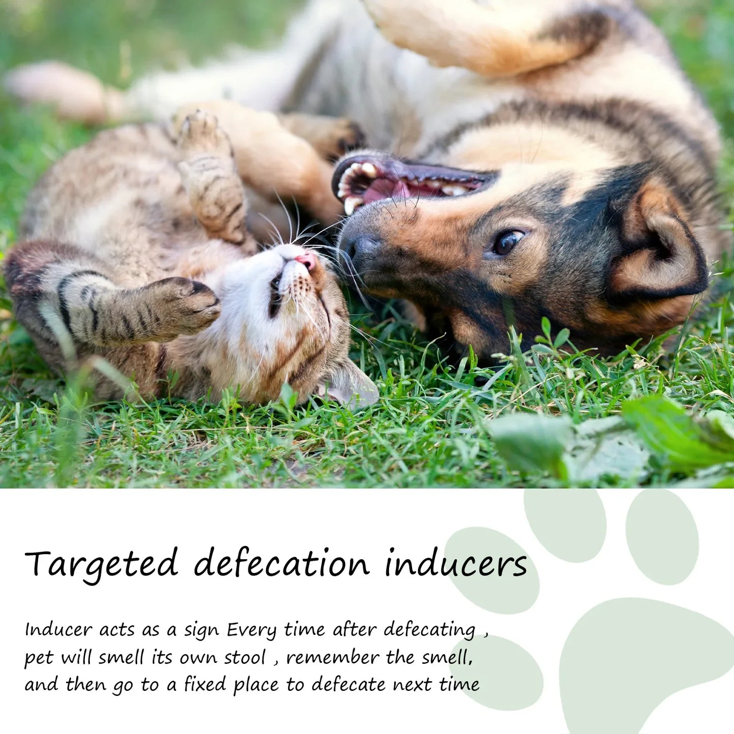 Pet Toilet Training Spray Induce Dog