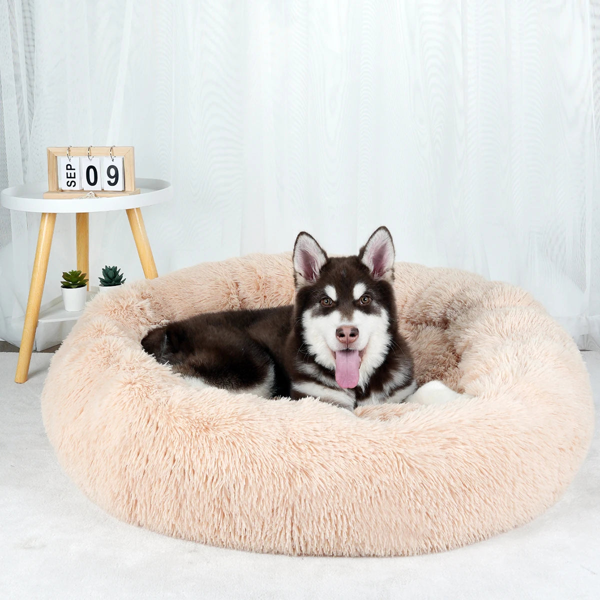 Bed Large Beds for Dogs Washable