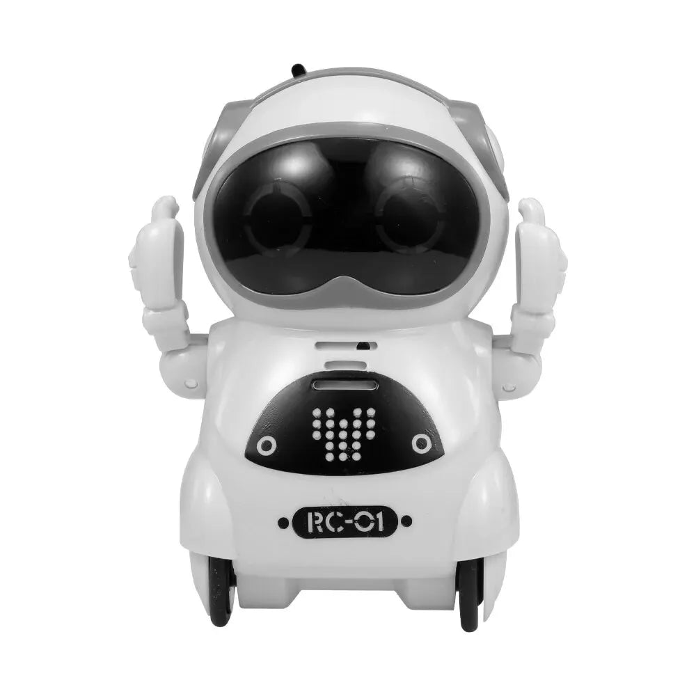Pocket Emo Robot