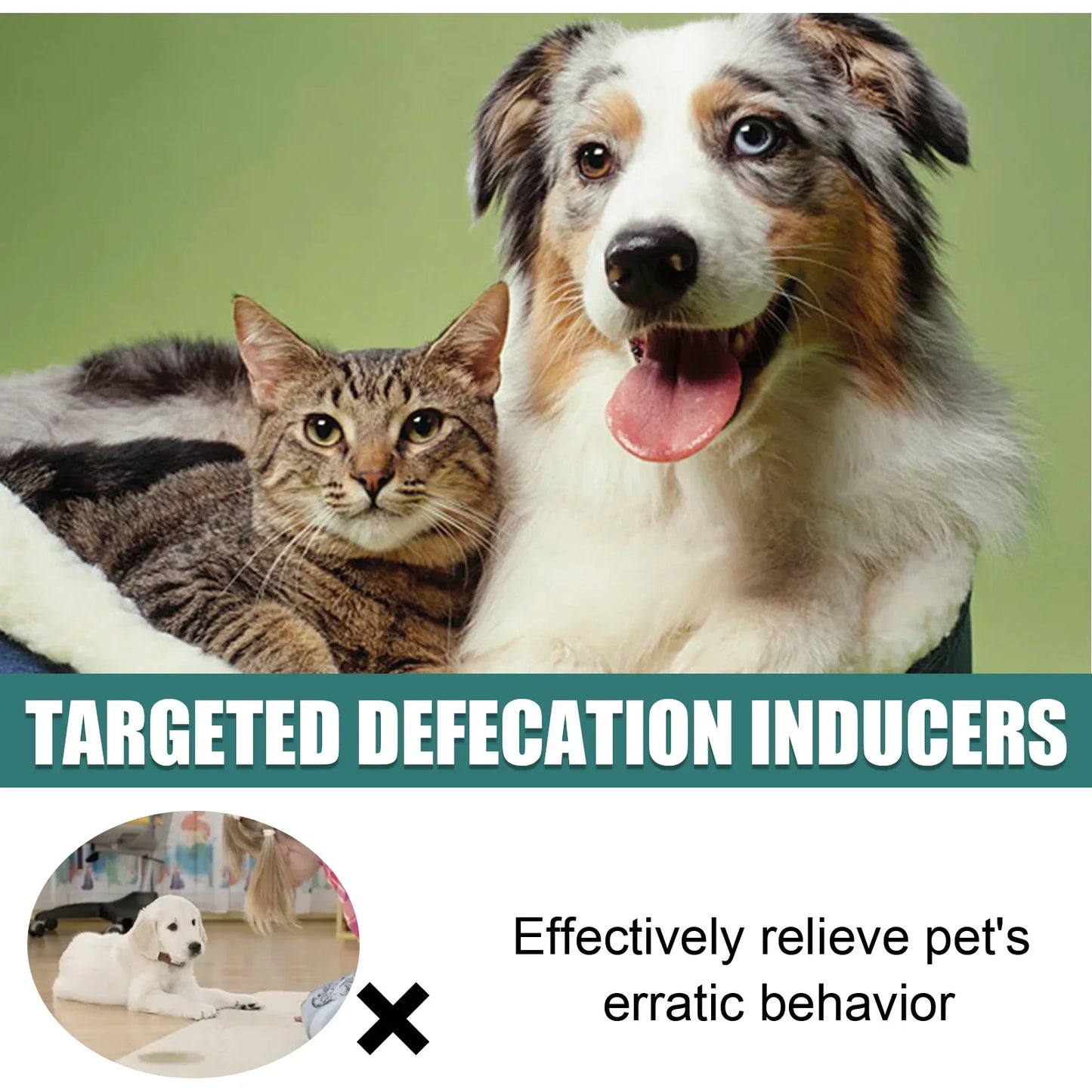 Pet Toilet Training Spray Induce Dog