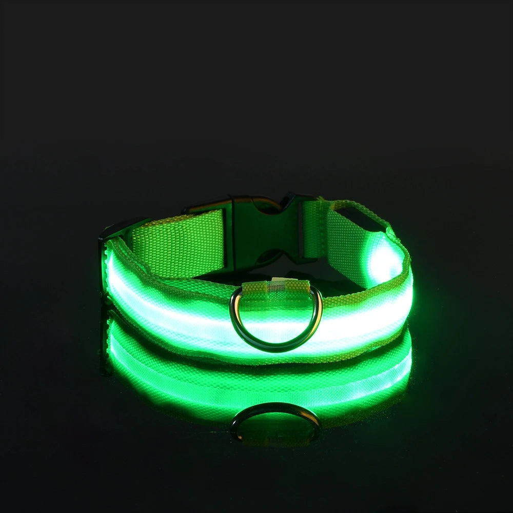 LED Night Safety Luminous Nylon Dog Collar