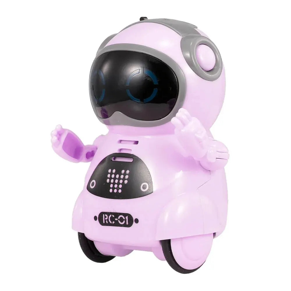 Pocket Emo Robot