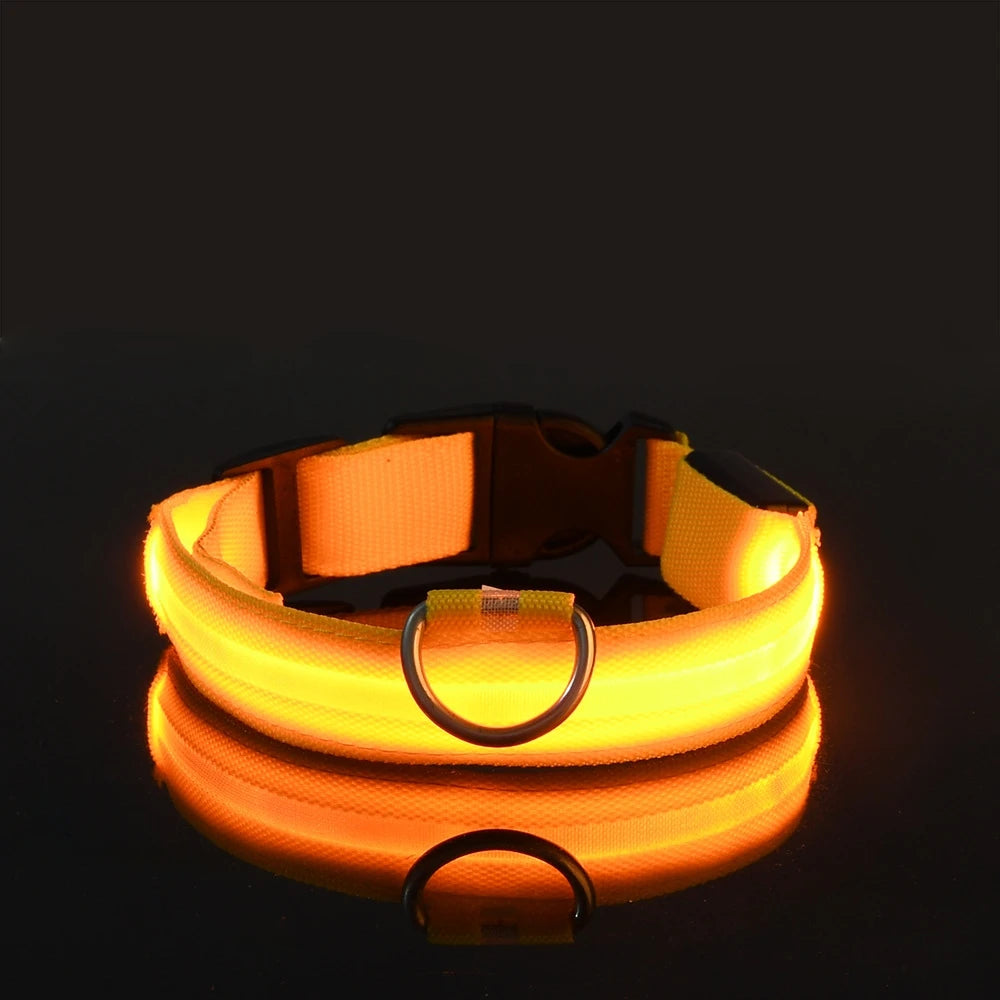 LED Night Safety Luminous Nylon Dog Collar