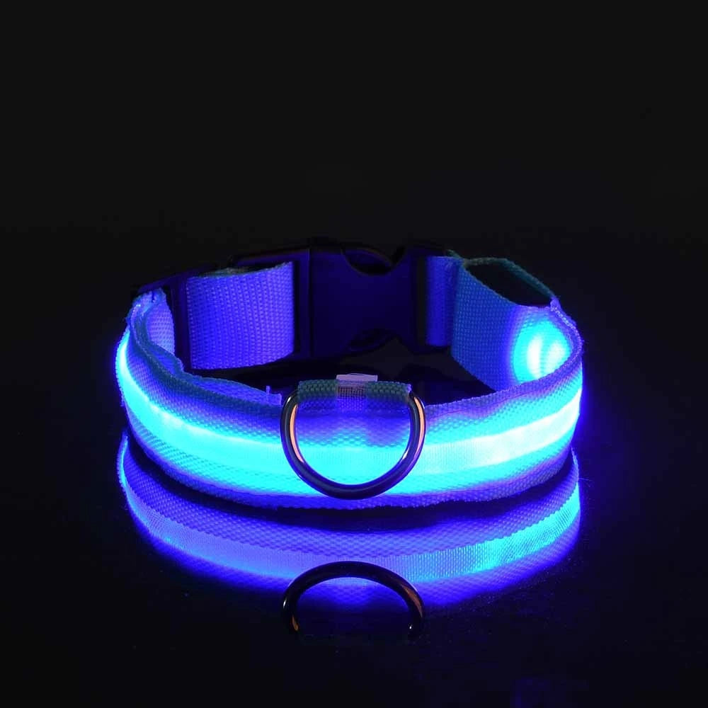 LED Night Safety Luminous Nylon Dog Collar
