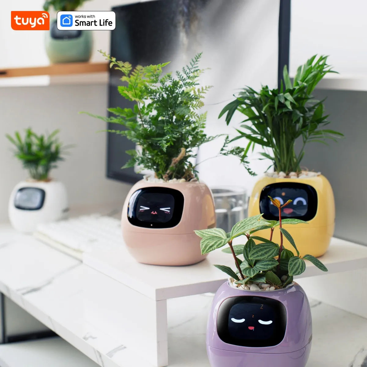 Smart Flower Pot