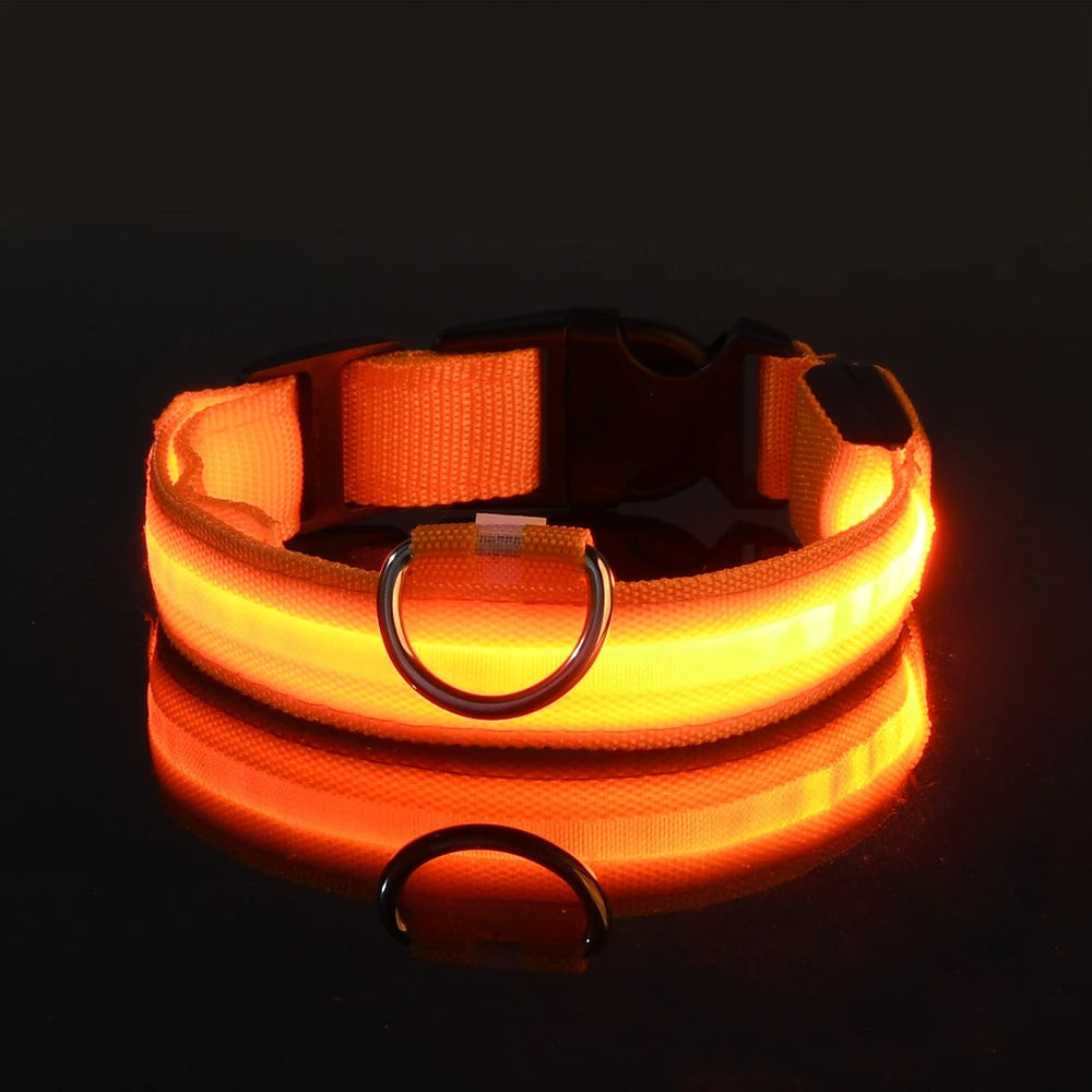 LED Night Safety Luminous Nylon Dog Collar