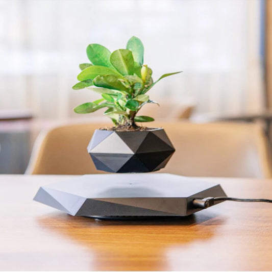 levitating flower pot