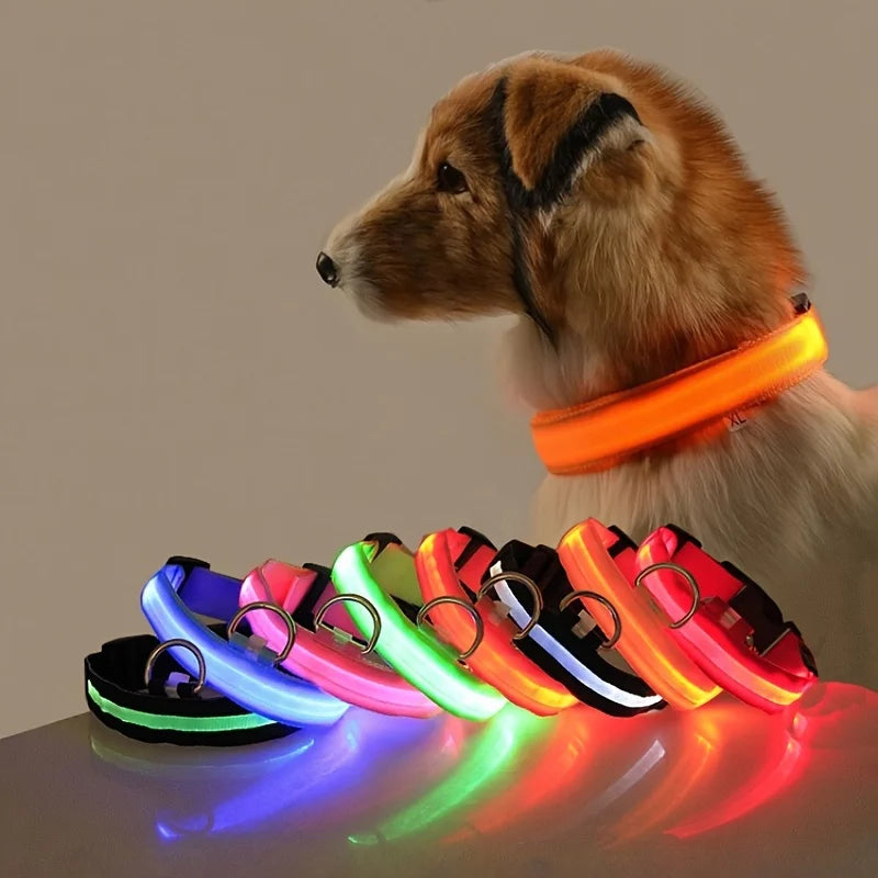 LED Night Safety Luminous Nylon Dog Collar