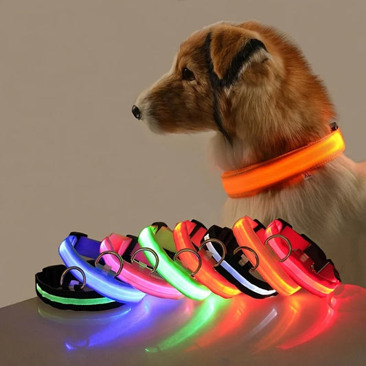 LED Night Safety Luminous Nylon Dog Collar