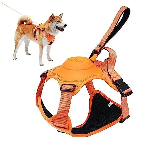Dog Harness and Retractable