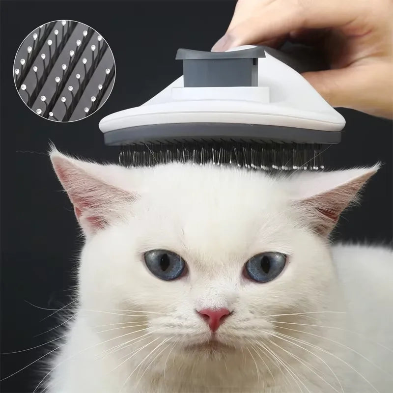 Pet Brush