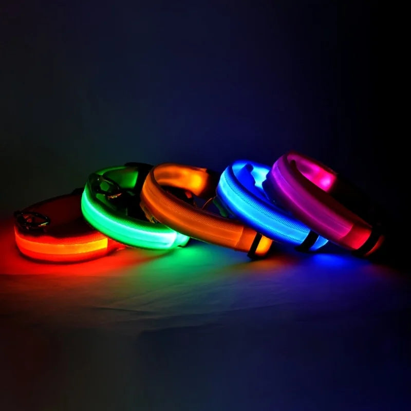 LED Night Safety Luminous Nylon Dog Collar