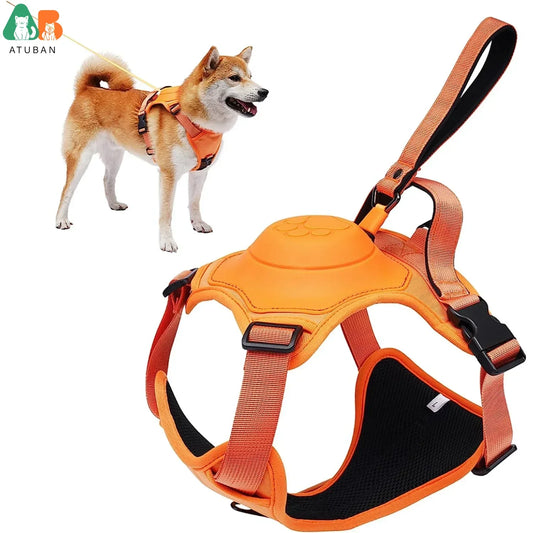 Dog Harness and Retractable