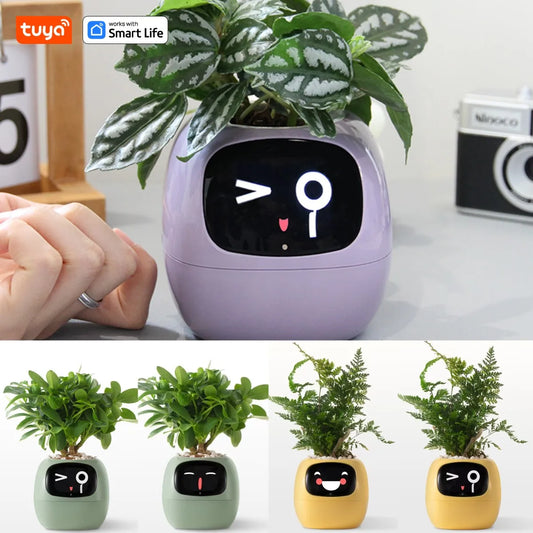 Smart Flower Pot