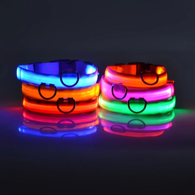 LED Night Safety Luminous Nylon Dog Collar