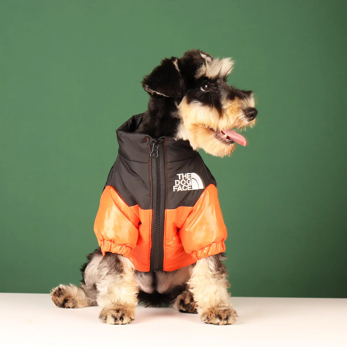 Large Winter Clothes for Pet Dogs