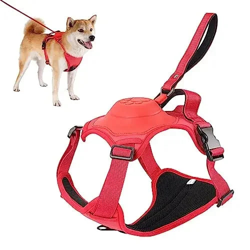 Dog Harness and Retractable