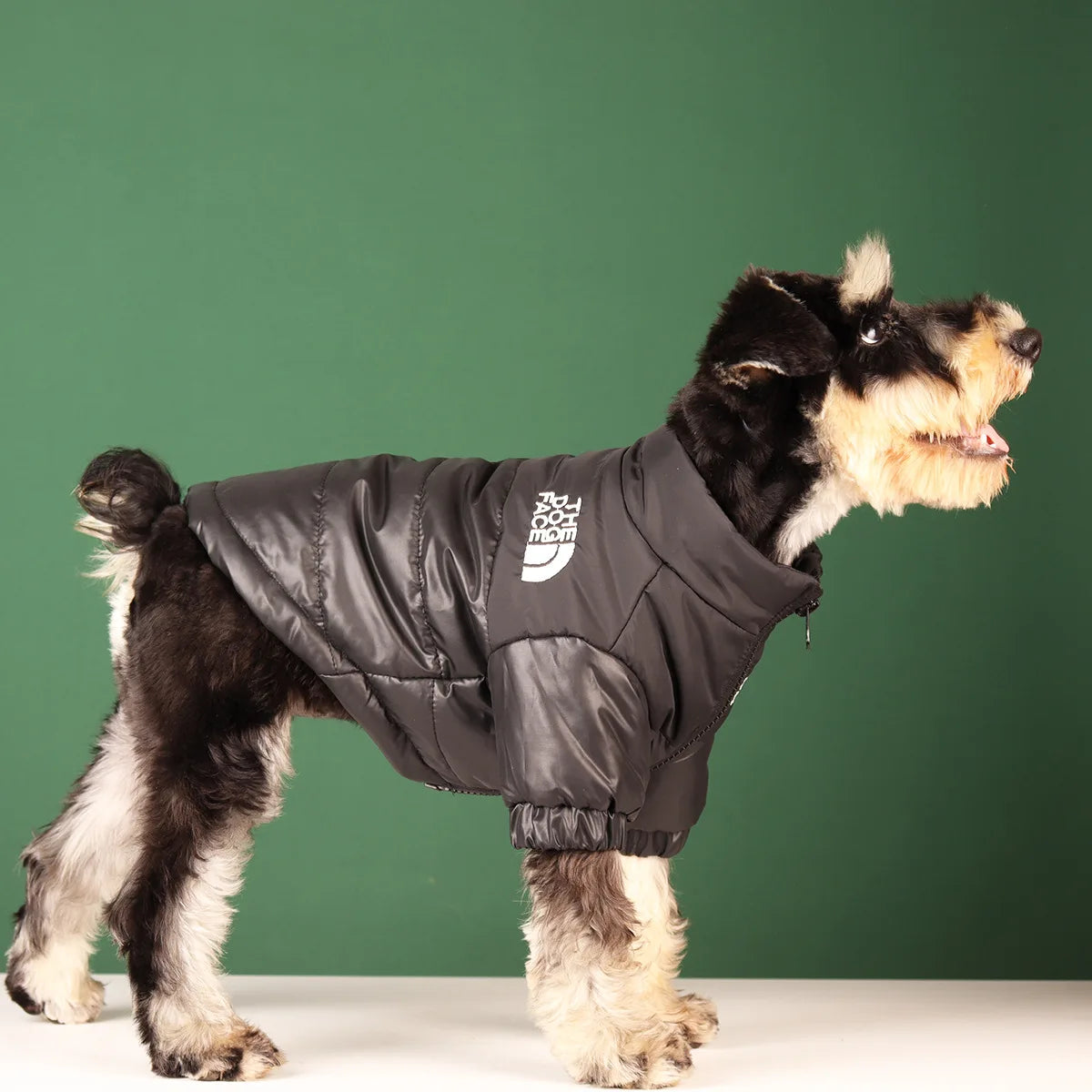 Large Winter Clothes for Pet Dogs
