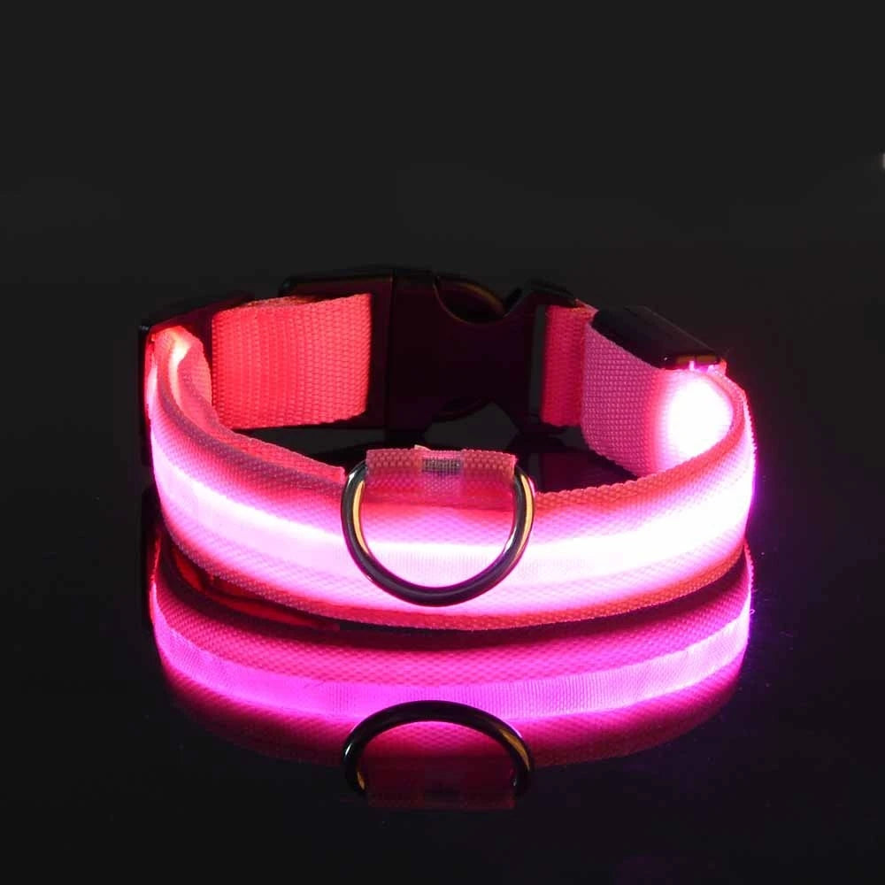 LED Night Safety Luminous Nylon Dog Collar