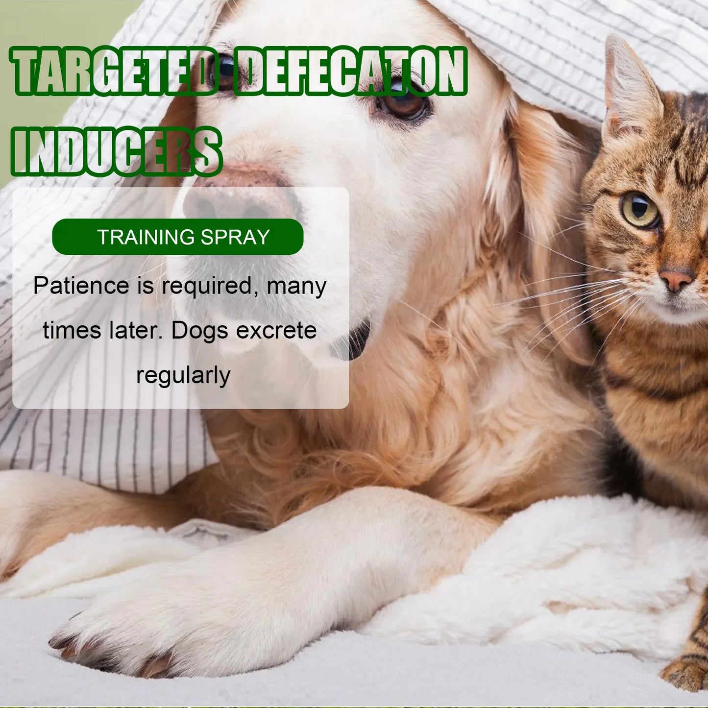 Pet Toilet Training Spray Induce Dog