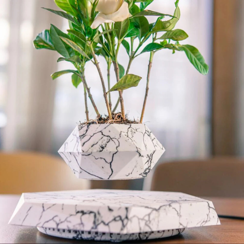 levitating flower pot