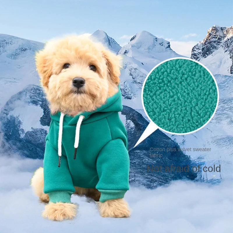Dog Clothes Pet