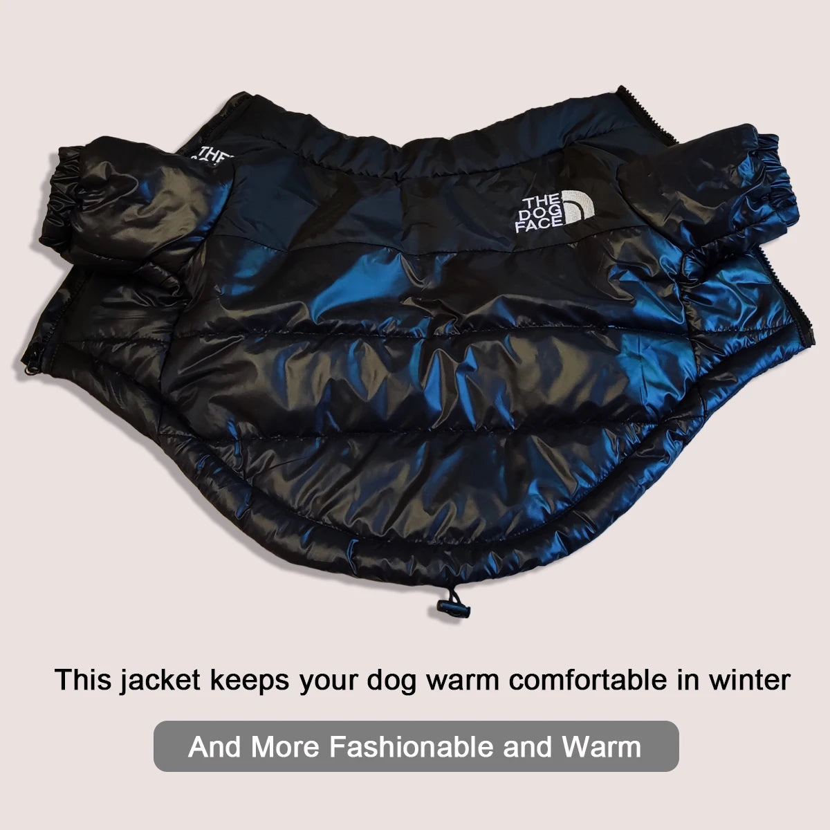 Large Winter Clothes for Pet Dogs