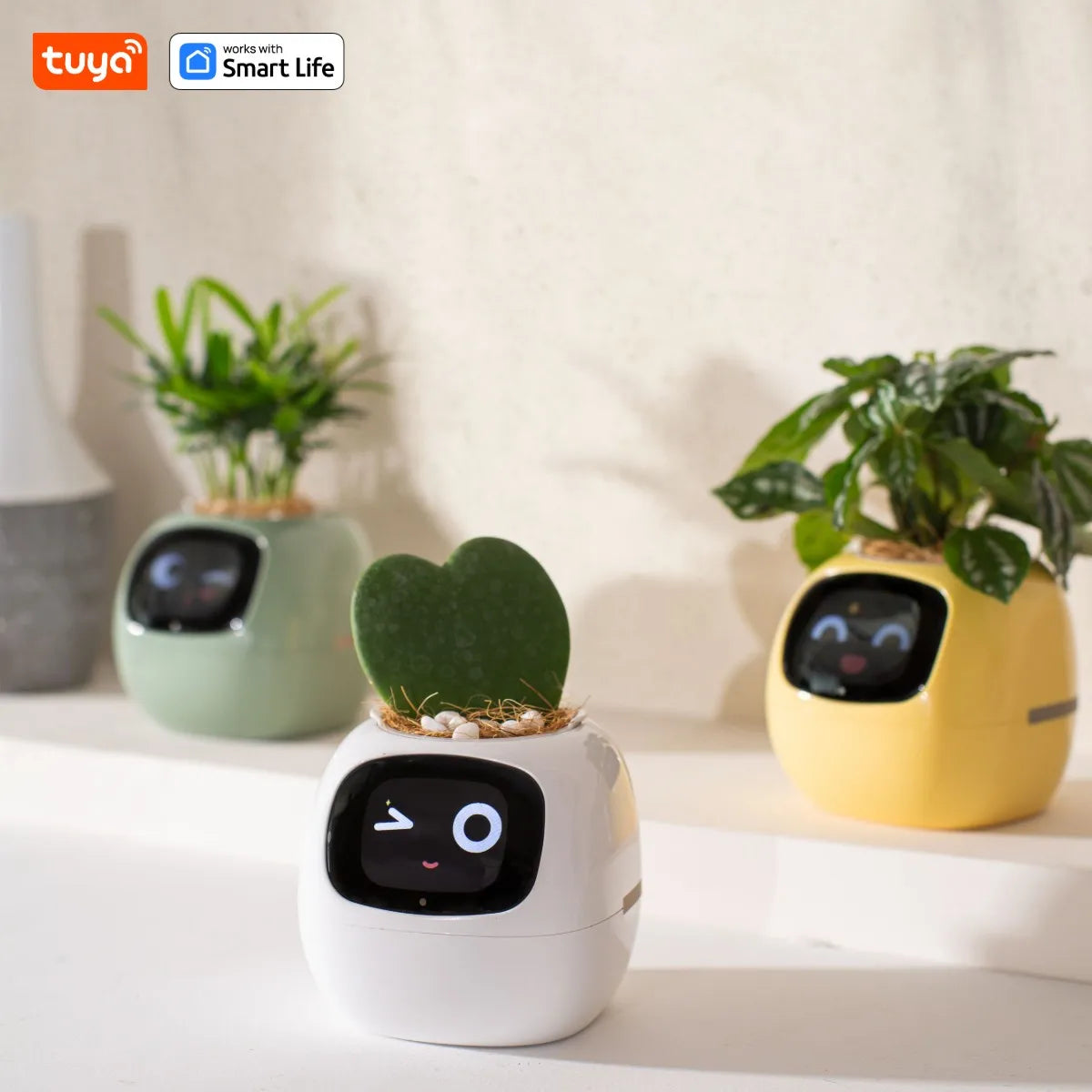 Smart Flower Pot