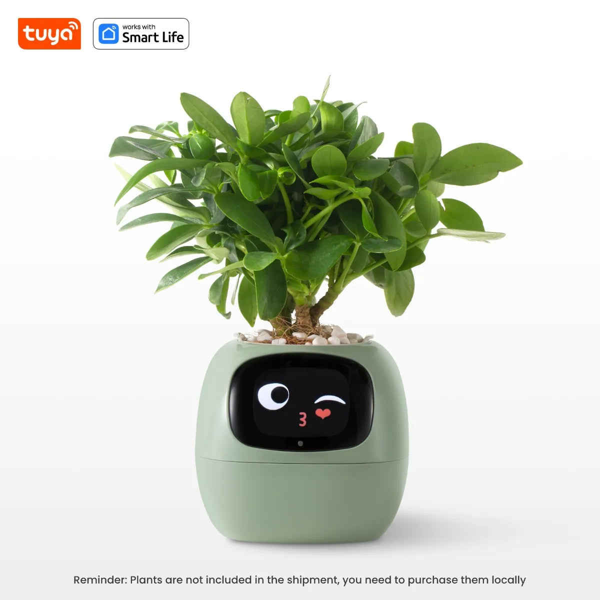 Smart Flower Pot