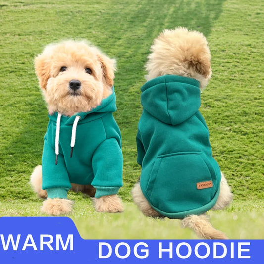 Dog Clothes Pet