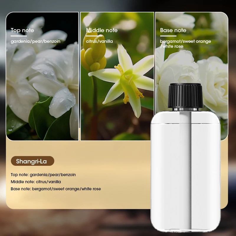 Mini Aromatherapy Machine Spray Air Purification